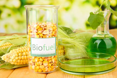 Sydney biofuel availability